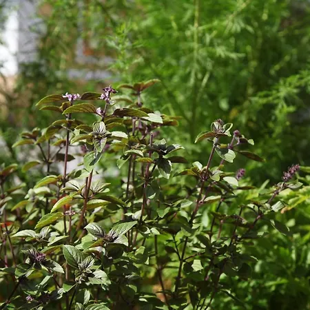 Jurijana - New 4-bedroom Triplex With Sauna & Garden アパート