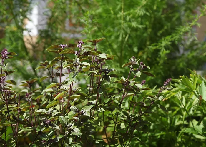 Jurijana - New 4-bedroom Triplex With Sauna & Garden Apartmán